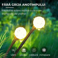 Collection of Set 2 x Lampa solara LED Alb Cald, 6 bulbi, decoratiune gradina in a gallery layout